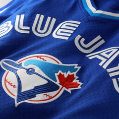 Joe Carter Toronto Blue Jays Mitchell & Ness Authentic Batting Practice Jersey - Royal - Mitchell & Ness Online