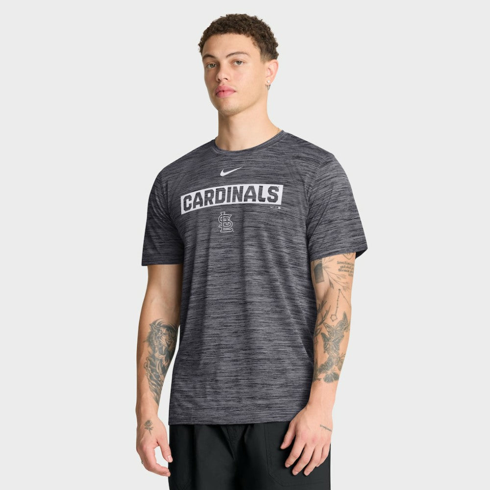 St. Louis Cardinals Nike Velocity Dri-FIT T-Shirt - Black - Nike Online