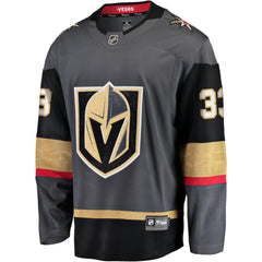 Adin Hill Vegas Golden Knights Fanatics Alternate Breakaway Jersey - Gray - NHL 200276706
