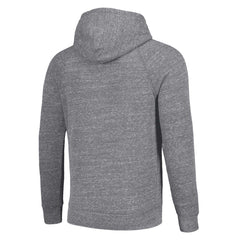 Detroit Lions Homage Unisex Hyperlocal Raglan Pullover Hoodie Gray