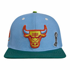 Chicago Bulls Pro Standard Retro Program 2-Tone Snapback Hat Light Blue/Green