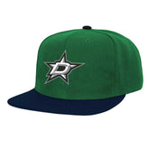 Dallas Stars Mitchell & Ness Core Team Ground 2.0 Snapback Hat - Kelly Green - NHL 200398866