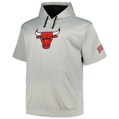 Chicago Bulls Big & Tall Logo Pullover Hoodie Silver | Fanatics Lifestyle