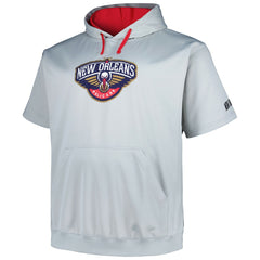 New Orleans Pelicans Big & Tall Logo Pullover Hoodie Silver | Fanatics Near Me