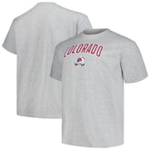 Colorado Avalanche Profile Big & Tall Arch Over Logo T-Shirt - Heather Gray - NHL 200745702