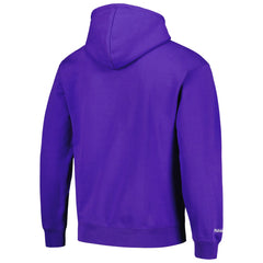 Sacramento Kings Hardwood Classics Tonal Pullover Hoodie Purple | Mitchell & Ness US