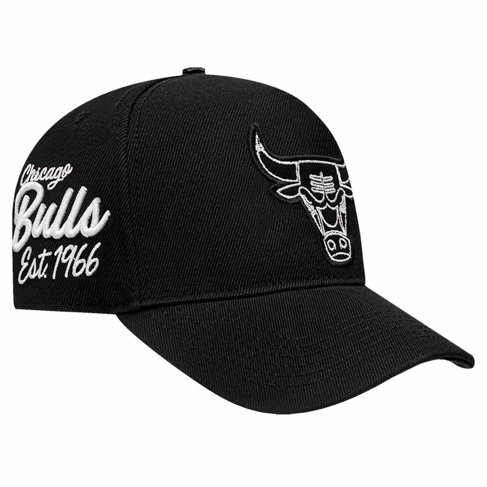 Chicago Bulls Pro Standard Paint the City Pinch Front Snapback Hat Black