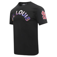 St. Louis Cardinals Pro Standard Cityscape T-Shirt - Black - MLB Lifestyle