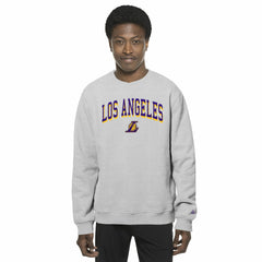 Los Angeles Lakers Chenille Cross Over Pullover Sweatshirt Gray | New Era online