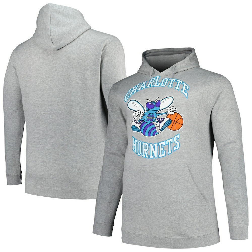Charlotte Hornets Hardwood Classics Big & Tall Pullover Hoodie Heather Gray | Mitchell & Ness discount