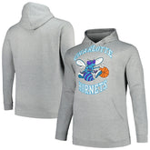Charlotte Hornets Hardwood Classics Big & Tall Pullover Hoodie Heather Gray | Mitchell & Ness discount
