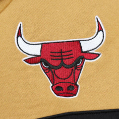 Chicago Bulls Head Coach Pullover Hoodie Red/Gold | Mitchell & Ness US