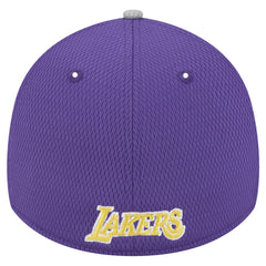 Los Angeles Lakers Active Trim 39THIRTY Flex Hat Gray/Purple | New Era for sale