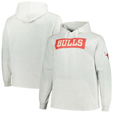 Chicago Bulls Big & Tall Raglan Tri-Blend Pullover Hoodie for sale Ash | Fanatics US