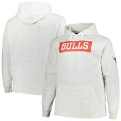 Chicago Bulls Big & Tall Raglan Tri-Blend Pullover Hoodie for sale Ash | Fanatics US