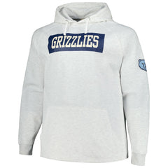 Memphis Grizzlies Big & Tall Raglan Tri-Blend Pullover Hoodie Ash | Fanatics online