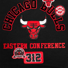 Chicago Bulls Pro Standard Women's Area Code Cropped Pullover Sweatshirt Black