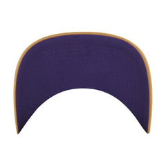 Sacramento Kings '47 Barnes Hitch Adjustable Hat Tan | 47 brand online
