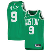 Derrick White Boston Celtics Unisex Swingman Jersey Icon Edition Kelly Green | Nike for sale