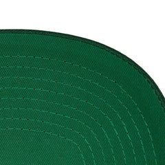 Minnesota Wild Mitchell & Ness Core Team Ground Pro Adjustable Hat - Green - NHL 201387182