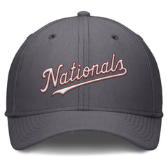 Washington Nationals Nike Swoosh Performance Flex Hat - Gray - Nike Lifestyle