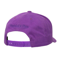 Phoenix Suns Washed Out Tonal Logo Snapback Hat Purple | Mitchell & Ness online