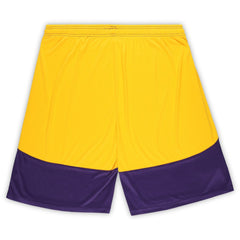Fanatics Minnesota Vikings Big & Tall Launch Shorts Purple/Gold