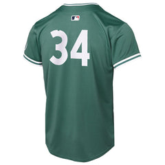 David Ortiz Boston Red Sox Nike Youth 2025 City Connect Limited Retired Player Jersey - Green - Nike Online