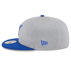 Milwaukee Brewers New Era 2025 Batting Practice 59FIFTY Fitted Hat - Gray/Royal - New Era Discount