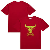 Chicago Bulls Hardwood Classics Neon Nights Premium T-Shirt for sale Red | Mitchell & Ness outlet