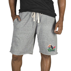 Houston Texans Concepts Sport Mainstream Tri-Blend Shorts Gray