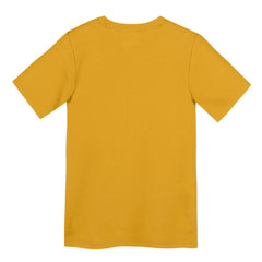 Nike Pittsburgh Steelers Preschool Icon Legend Dri-FIT T-Shirt Gold
