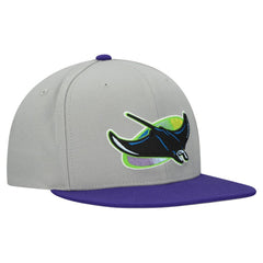 Tampa Bay Rays Mitchell & Ness Cooperstown Collection Basic Flip Snapback Hat - Gray - Mitchell & Ness Discount