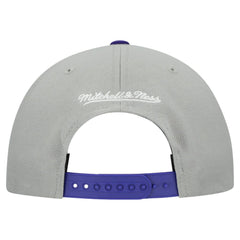Tampa Bay Rays Mitchell & Ness Cooperstown Collection Basic Flip Snapback Hat - Gray - Mitchell & Ness Discount