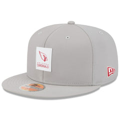 Arizona Cardinals New Era 2025 Sideline 59FIFTY Fitted Hat Gray