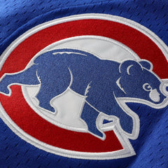Ryne Sandberg Chicago Cubs Mitchell & Ness Cooperstown Collection 1997 Mesh Batting Practice Button-Up Jersey - Royal - Mitchell & Ness Online