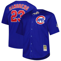 Ryne Sandberg Chicago Cubs Mitchell & Ness Big & Tall Cooperstown Mesh Batting Practice Jersey - Royal - Mitchell & Ness Online