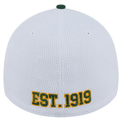 Green Bay Packers New Era Dashmark Rays 39THIRTY Flex Hat White/Green