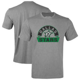 Dallas Stars Levelwear Youth Little Richmond Banner Arch T-Shirt - Gray - NHL 203145561