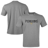 Pittsburgh Penguins Levelwear Youth Little Richmond Carve T-Shirt - Gray - NHL 203145655