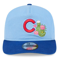 Chicago Cubs New Era 2026 Spring Training 19TWENTY Adjustable Hat - Light Blue/Royal - New Era on Sale