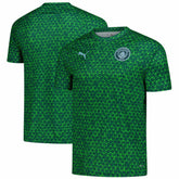 Manchester City 2025/26 Pre-Match Training Jersey Green - Puma for sale