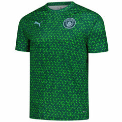 Manchester City 2025/26 Pre-Match Training Jersey Green - Puma for sale