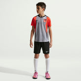 Chelsea Youth 2025/26 Academy Pro Pre-Match Top Gray - Nike cheap