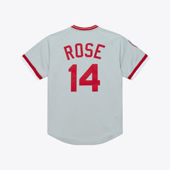 Pete Rose Cincinnati Reds Mitchell & Ness 1976 Authentic Jersey - Gray - Mitchell & Ness Sale