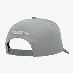 San Antonio Spurs Thunderstorm Head Coach Pro Crown Snapback Hat Gray | Mitchell & Ness for sale