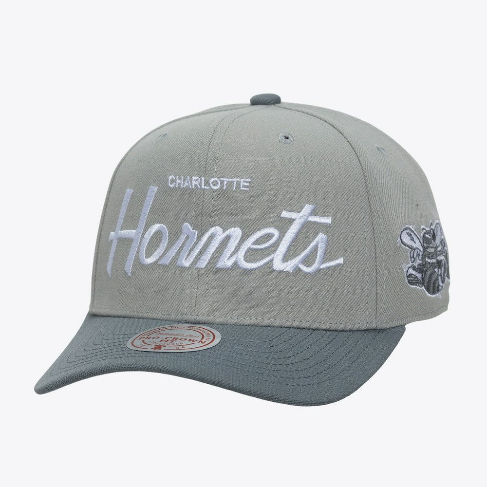 Charlotte Hornets Thunderstorm Head Coach Pro Crown Snapback Hat Gray | Mitchell & Ness for sale