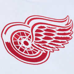 Detroit Red Wings Mitchell & Ness Arctic Fleece Hoodie - White - NHL 203265810