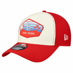 St. Louis Cardinals New Era 2026 Spring Training Fan Pack Gradient 39THIRTY Flex Hat - Stone - New Era on Sale