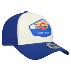 Chicago Cubs New Era 2026 Spring Training Fan Pack Gradient 39THIRTY Flex Hat - Stone/Royal - New Era Online